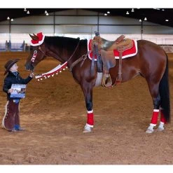 Tough-1 Tough 1 Santa 5 Piece Set