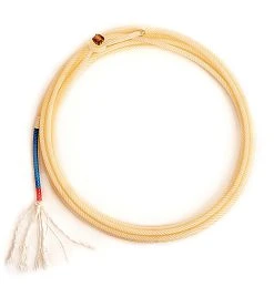 Republic Ropes Remedy Core 4 Strand 3/8 True Head Rope -NRS World Sales 203281 612330