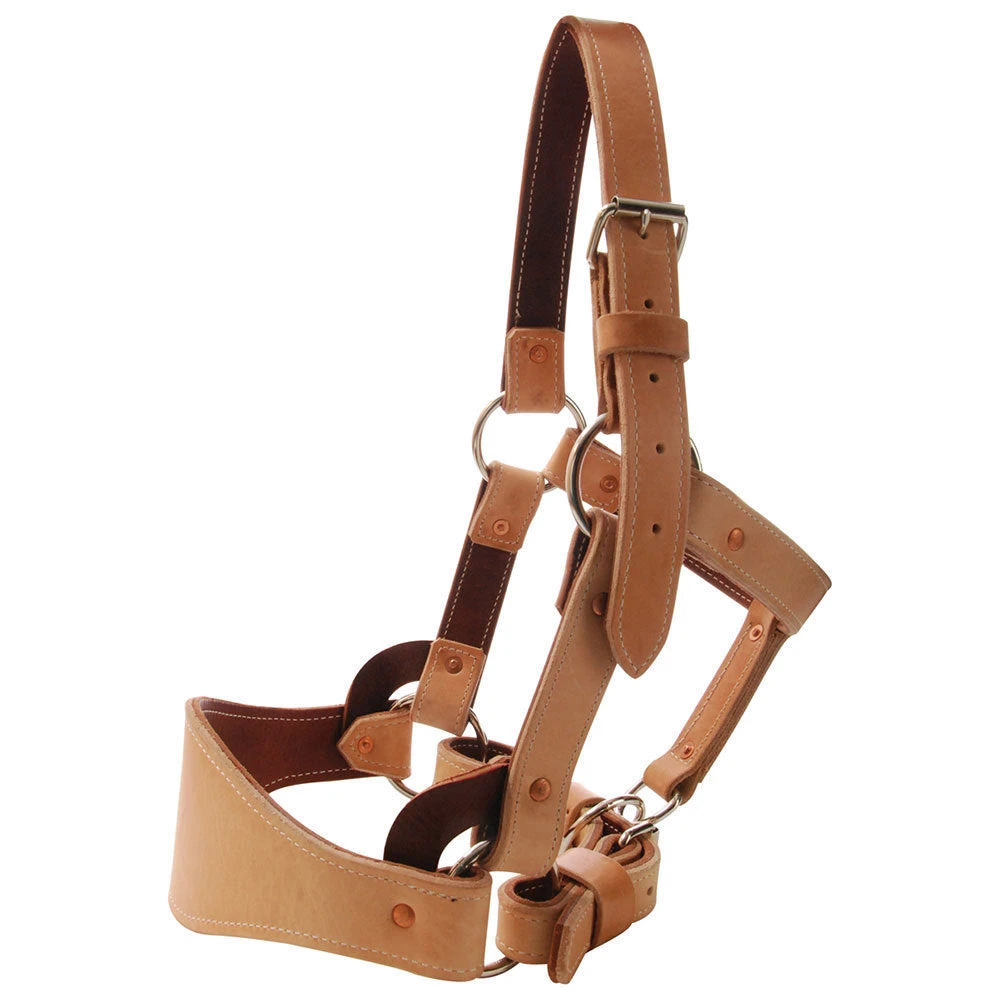 Saddle Barn Tack Leather Bronc Halter 3 Saddle Barn Tack Leather Bronc Halter