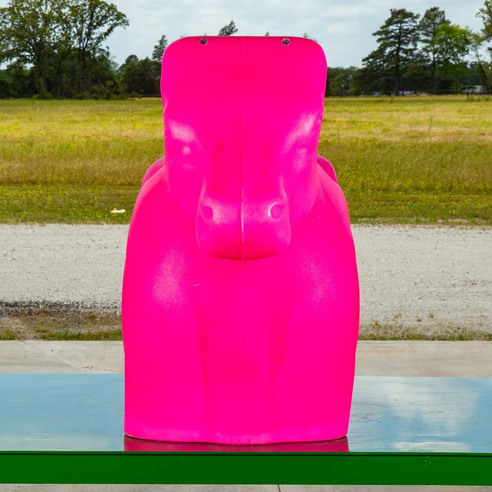 Smarty JR Breakaway Full Body Sidekick 4 Smarty JR Breakaway Full Body Sidekick - Image 2