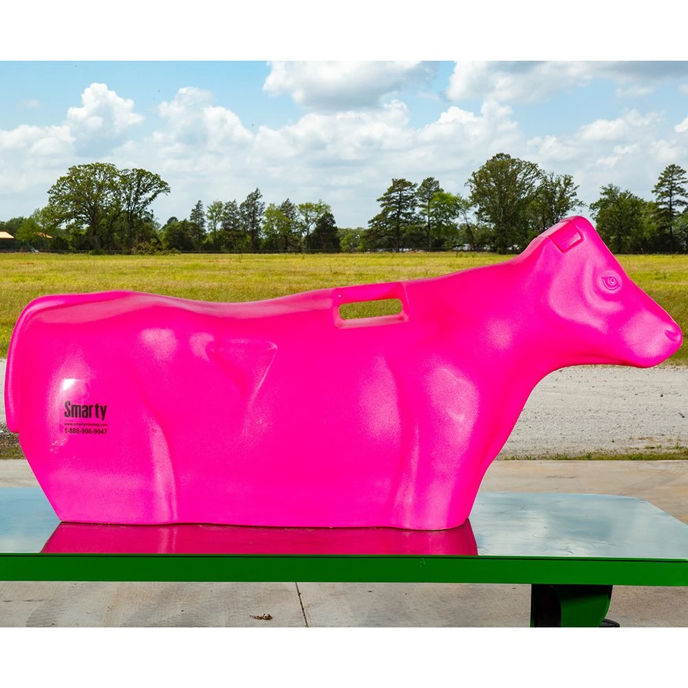 Smarty JR Breakaway Full Body Sidekick 5 Smarty JR Breakaway Full Body Sidekick - Image 3