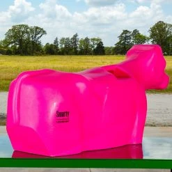 Smarty JR Breakaway Full Body Sidekick 10 Smarty JR Breakaway Full Body Sidekick -NRS World Sales AB JRSIDEKICKFL PK 2