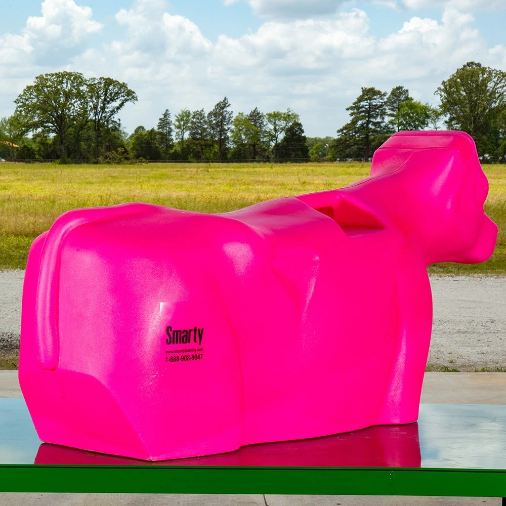 Smarty JR Breakaway Full Body Sidekick 6 Smarty JR Breakaway Full Body Sidekick - Image 4