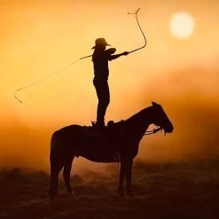 Double C Customs Llc Custom 8 Foot Paracord Bull Cow Whip -NRS World Sales DCC WHIP LIFE2