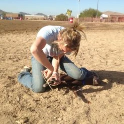 NRS World Sales -NRS World Sales SS GOAT action